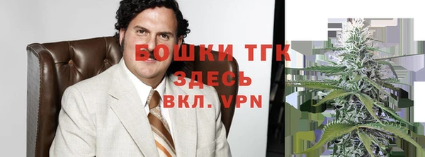индика Козловка