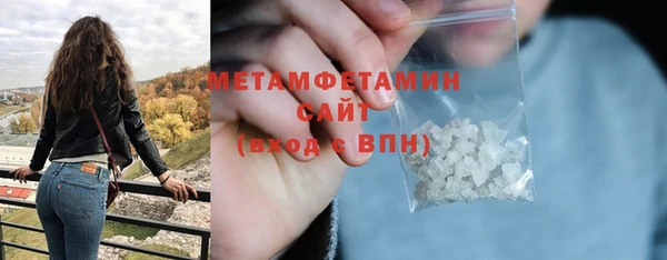индика Козловка
