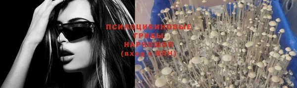 амф Кодинск