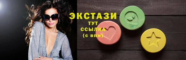 индика Козловка