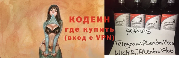 индика Козловка