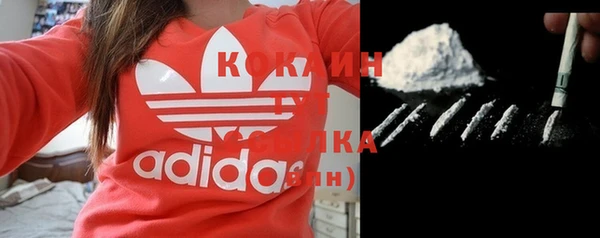 индика Козловка