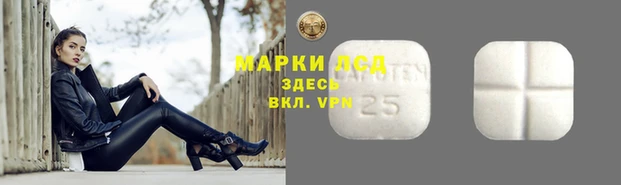 индика Козловка