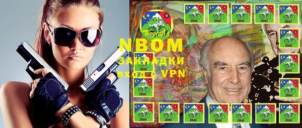 индика Козловка