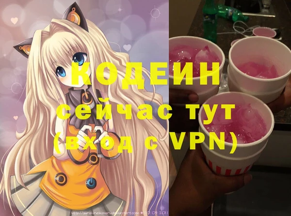 индика Козловка