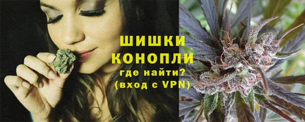 индика Козловка