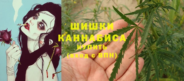 индика Козловка