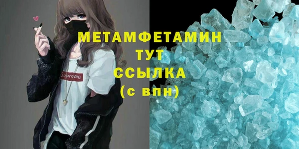 индика Козловка