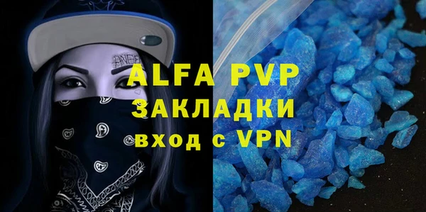 индика Козловка