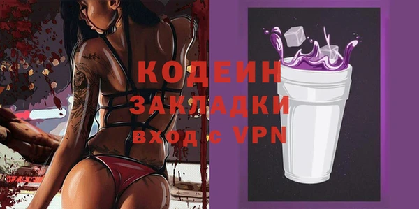 индика Козловка