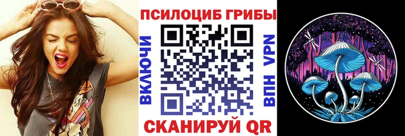 купить наркоту  Новочеркасск  Галлюциногенные грибы Magic Shrooms 